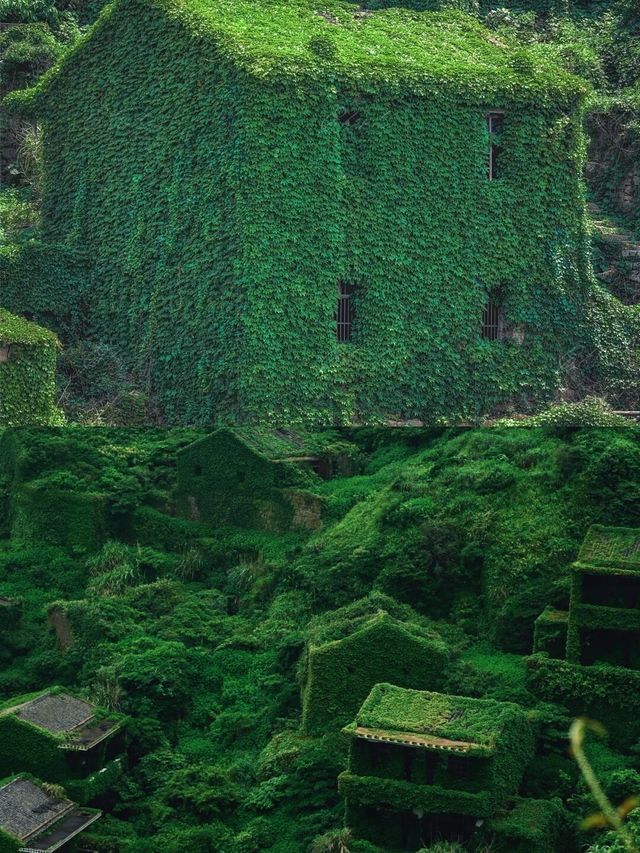 上海周邊搵到寶藏啦！枸杞島避暑超正～