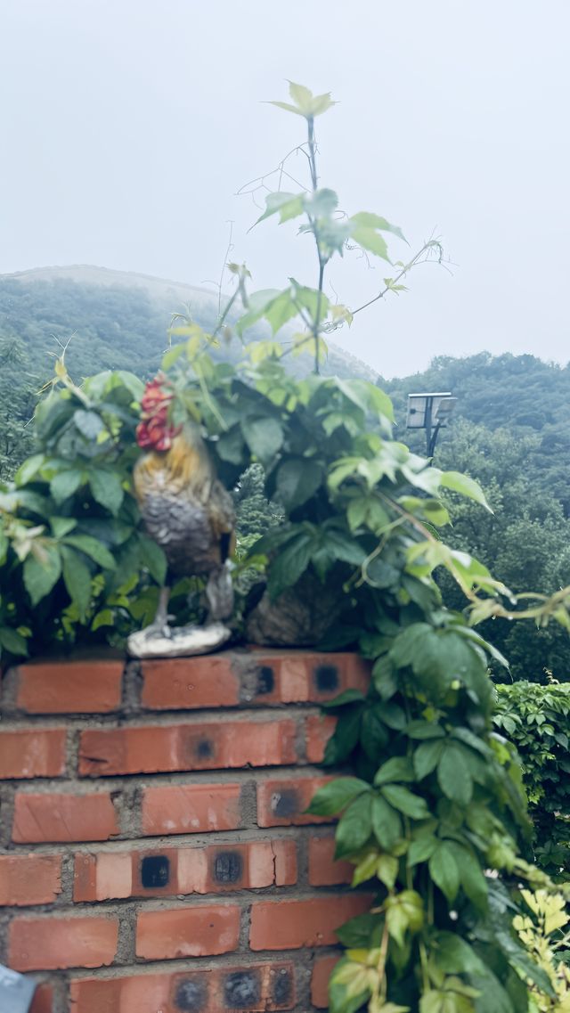 長城腳下掛著水晶燈的別緻院落