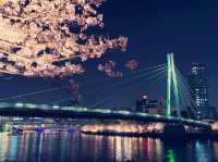 大阪隱世賞櫻秘境！櫻之宮公園浪漫體驗全記錄】**  