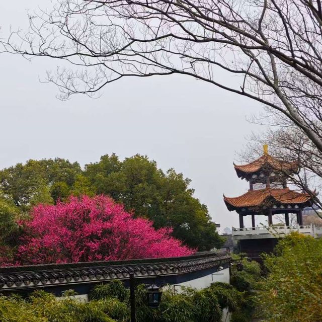 第一次旅遊