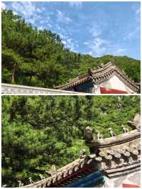 紅林村尋古——黃寶峪古廟遺址