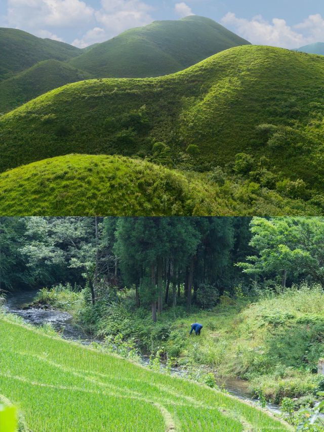 最冷門小城，藏喺森林嘅23℃避暑秘境