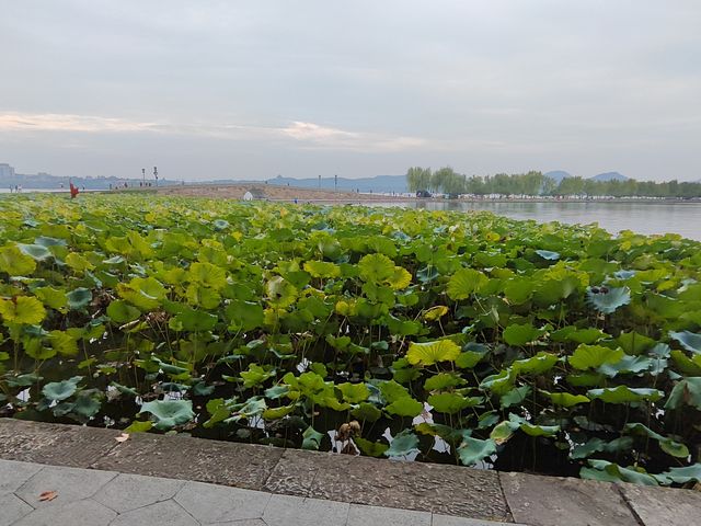 暢玩杭州攻略篇