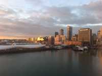 奧克蘭必住，希爾頓的美好海景體驗 Auckland Hilton Wonders   酒店：奧