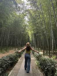 上海出發週末2日1夜玩桐廬｜大奇山必衝馬嶺古道勸退