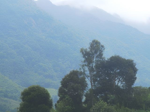 廣州秘境瀑布攻略