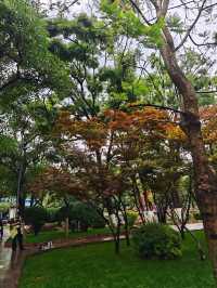 雲南之旅