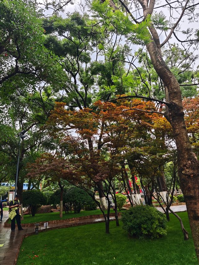 雲南之旅