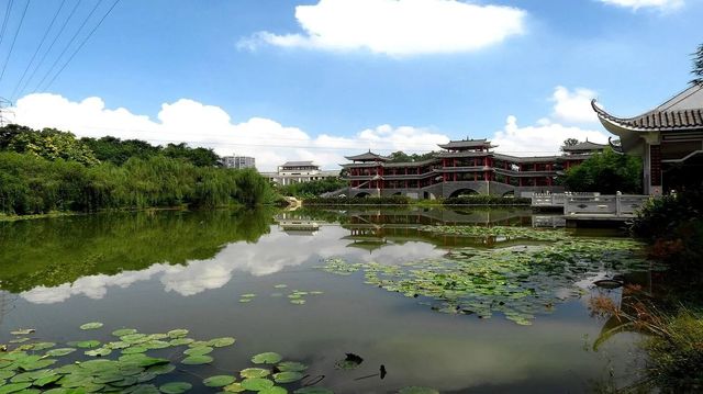 學生黨南寧之旅 學生黨南寧之旅