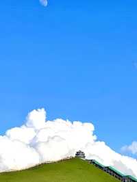 【若爾蓋花湖秘境漫遊指南】