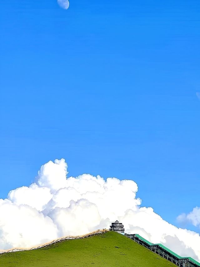 【若爾蓋花湖秘境漫遊指南】