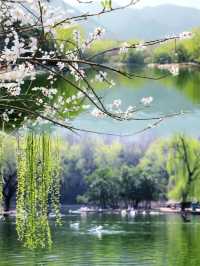 踏青！賞花！秦嶺野生動物園與萌寵們擁抱春天