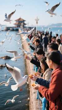 歡迎來到青島,帶你領略海濱城市的啤酒文化,海鮮美食,