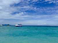 Borneo Divers Mabul Resort潛水攻略