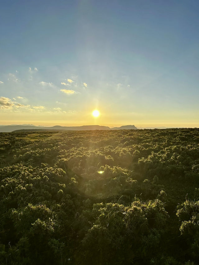 蒼嶺初曦──芦芽山的靜謐晨景