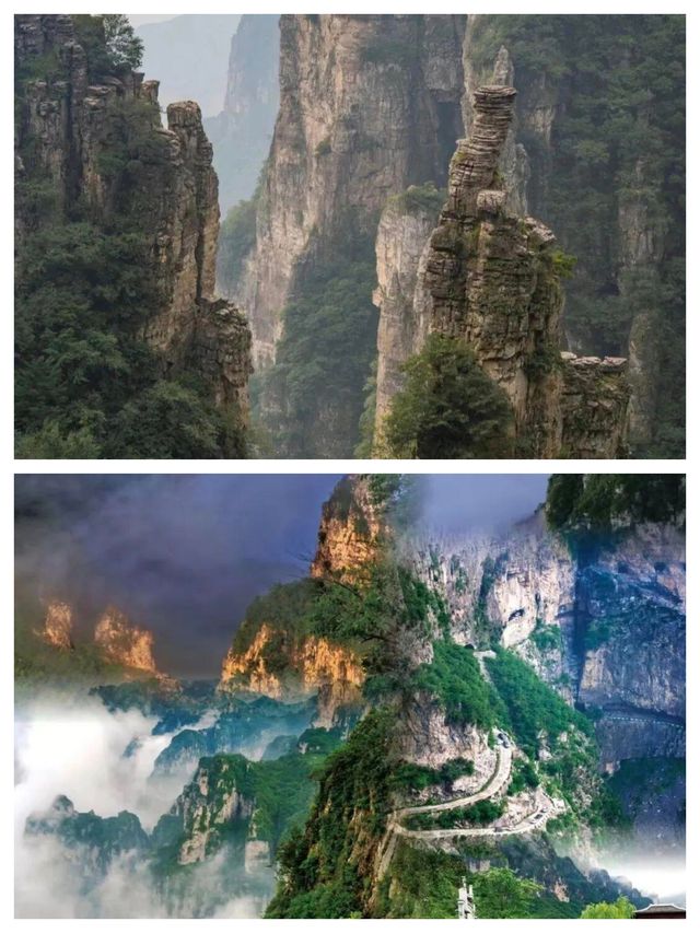 在王莽嶺 邂逅一場雲端的浪漫