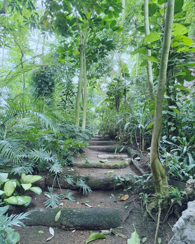 童話裡的小屋，上海植物園秋日兔子派對