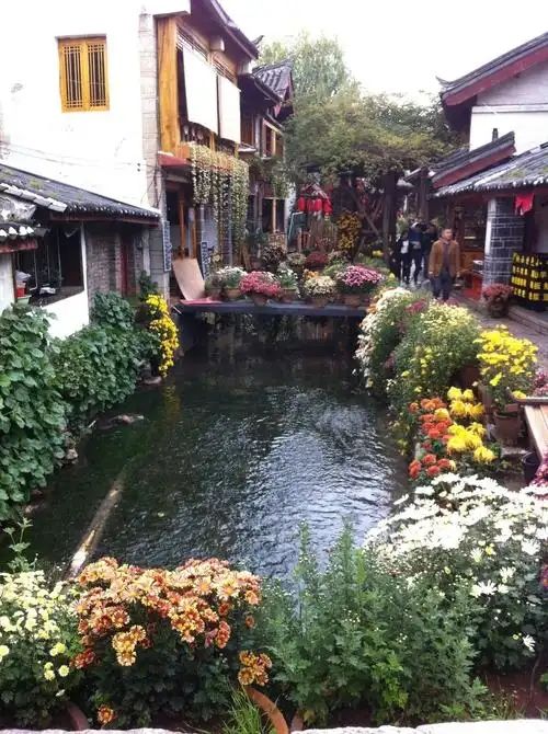 隱於市井的納西秘境