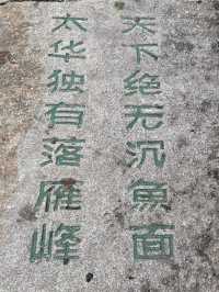 華山絕美雲海路線