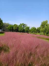 南京江心洲遛娃|真的已經到了next level