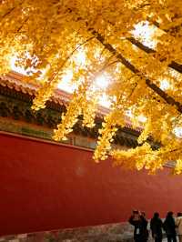 秋日封神路線清單！5大爆款目的地+避坑指南，張張出片
