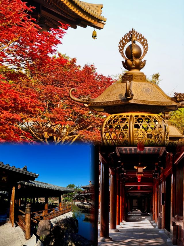 小眾賞楓地推薦不在京都，就在上海！