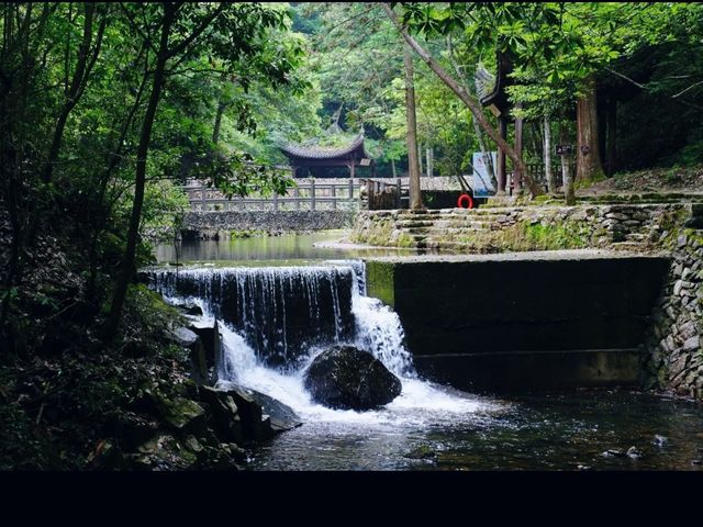 台州淡竹親子週末遊:山水間的自然童趣 台州淡竹親子週末遊:山水間的自然童趣