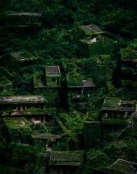 舟山嵊山島新晉打卡地！泡泡瑪特x綠野仙蹤聯名展來了