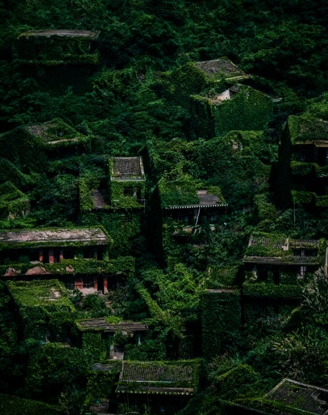 舟山嵊山島新晉打卡地！泡泡瑪特x綠野仙蹤聯名展來了