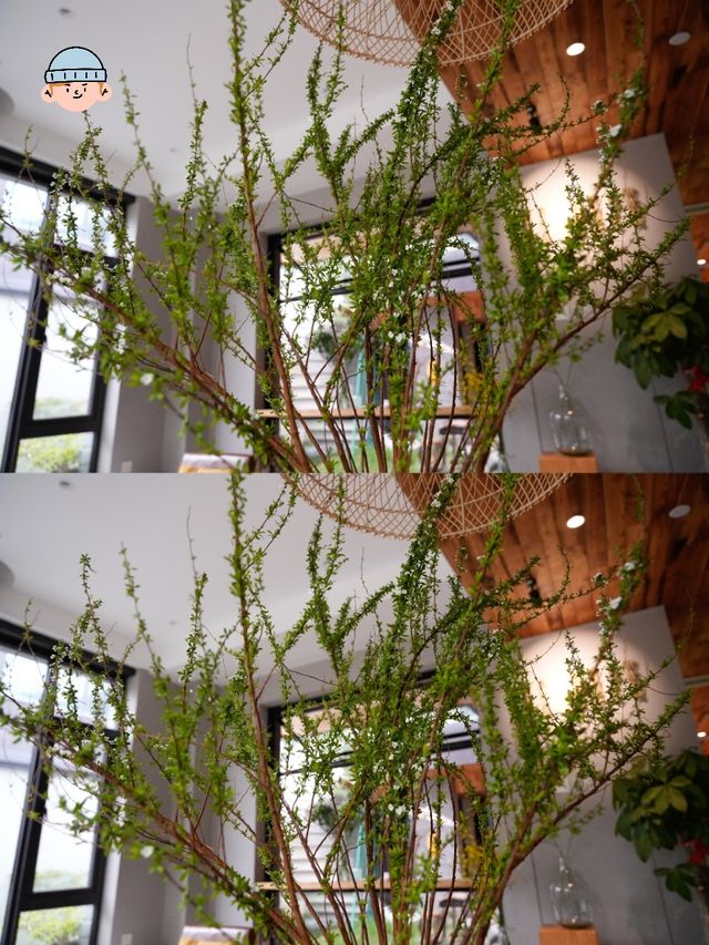 秋高氣爽的長安，就該住得舒服、吃得盡興、玩得暢快～