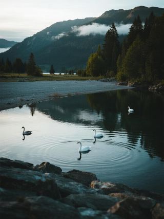 Yamdrok Lake Pitfall Avoidance Guide｜Personally Tested Free Photo Spots + Mountain Road Survival Tips