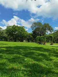 深圳這些絕美公園太出片了!隨手拍都是治癒系大片