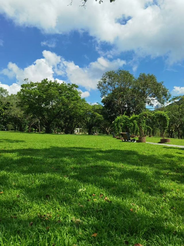 深圳這些絕美公園太出片了!隨手拍都是治癒系大片 深圳這些絕美公園太出片了!隨手拍都是治癒系大片
