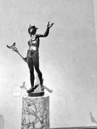 洛杉磯 盖蒂中心 格里菲斯天文台 植物園