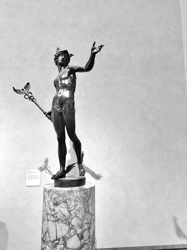 洛杉磯 盖蒂中心 格里菲斯天文台 植物園