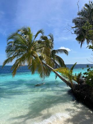 꿈같은 휴가: 파라다이스 리조트 체험