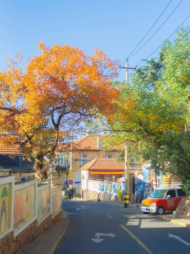 青島秋冬:闖進漫畫裡的治癒幀 青島秋冬:闖進漫畫裡的治癒幀