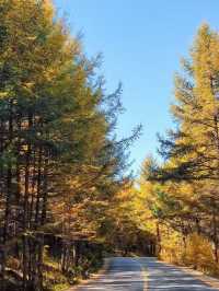 草原天路中段景色美極了,適合自駕遊