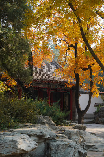 北京旅遊｜北海公園，紅牆黛瓦的最美金秋