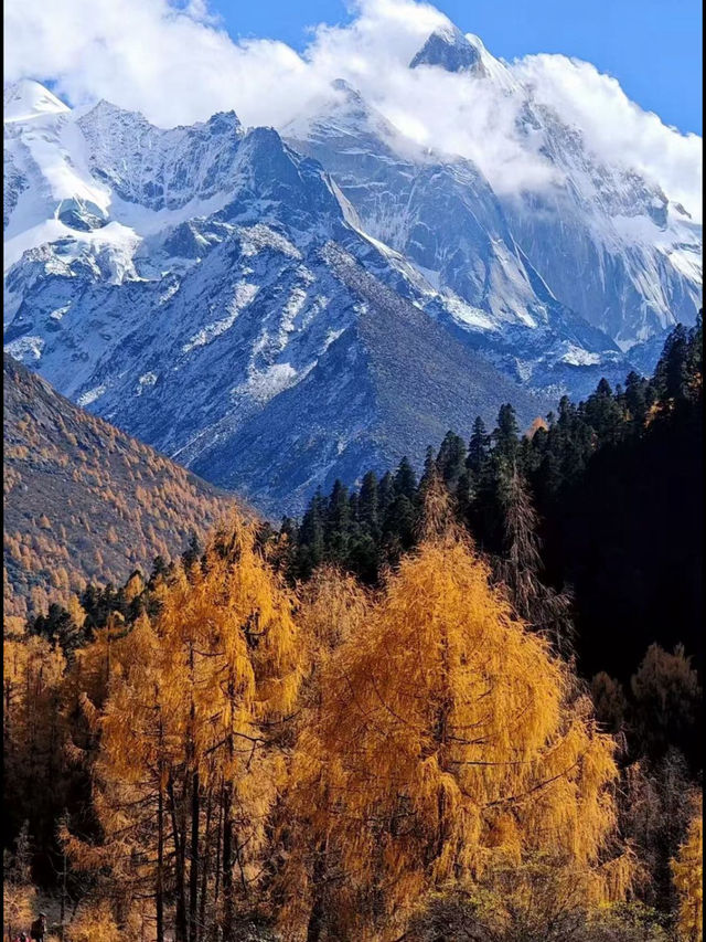 秋日長坪溝+雙橋溝徒步指南人間仙境太美啦