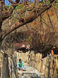 傈僳族古寨的千年密碼與秘境指南