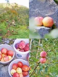 接下來的川西小九寨！堪稱秋天旅行天花板.. 限時1個月！！川西小九寨「松坪溝」秋色巔峰期來了！ 