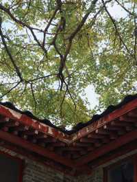 赴一場千年之約享避世之地的絕美秋色