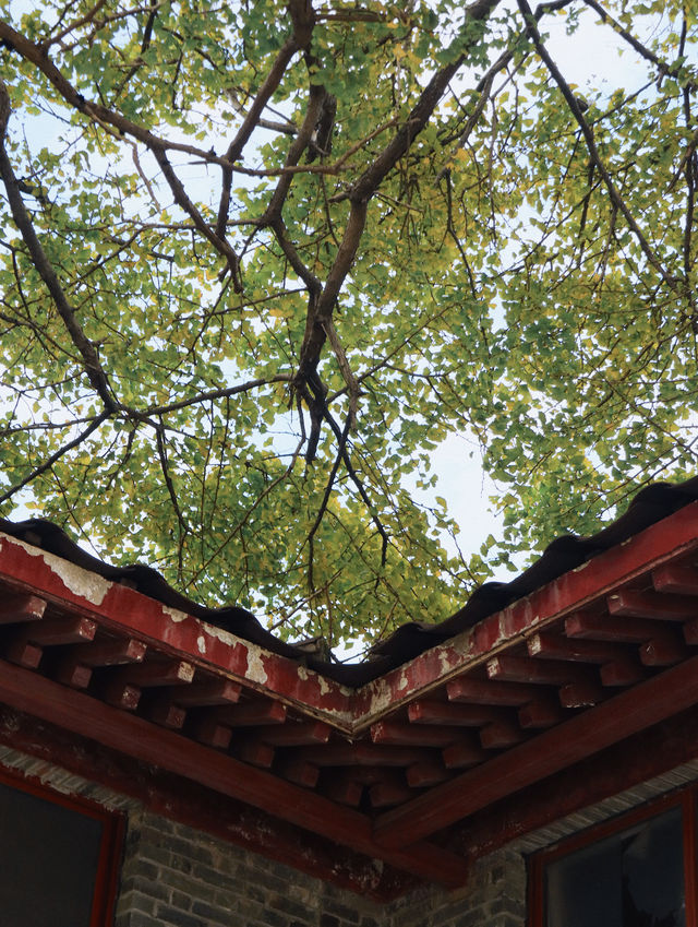 赴一場千年之約享避世之地的絕美秋色