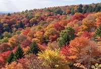 密雲私藏紅葉秘境比香山人更少景更美！