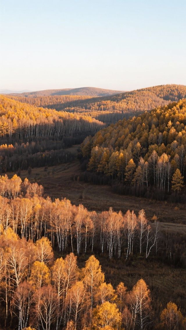 11月的塞罕壩四天三晚,玩轉北國初冬! 11月的塞罕壩四天三晚,玩轉北國初冬!