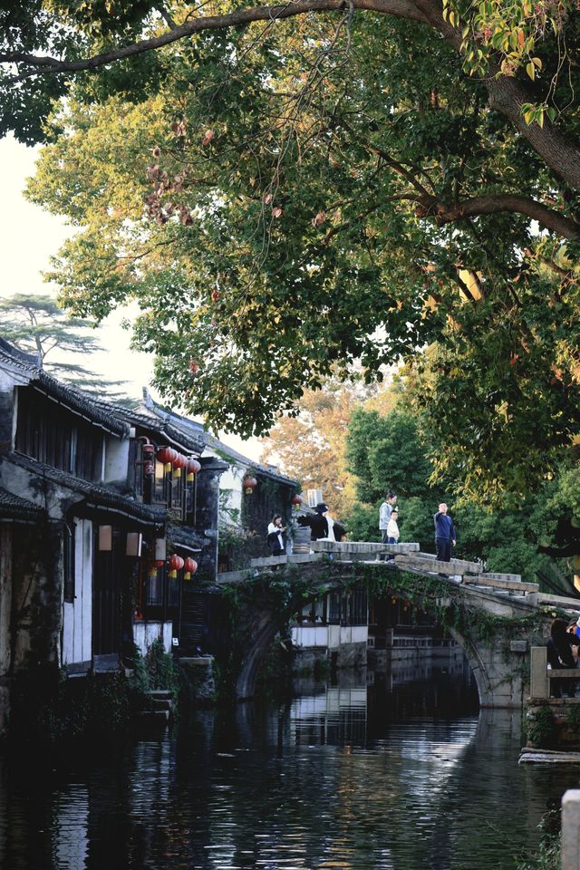 秋天總要帶娃去一次水鄉第一古鎮