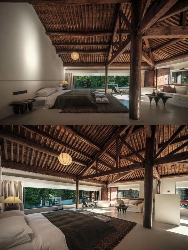 25℃的夏天！四明山雲自泊民宿藏進森林氧吧！