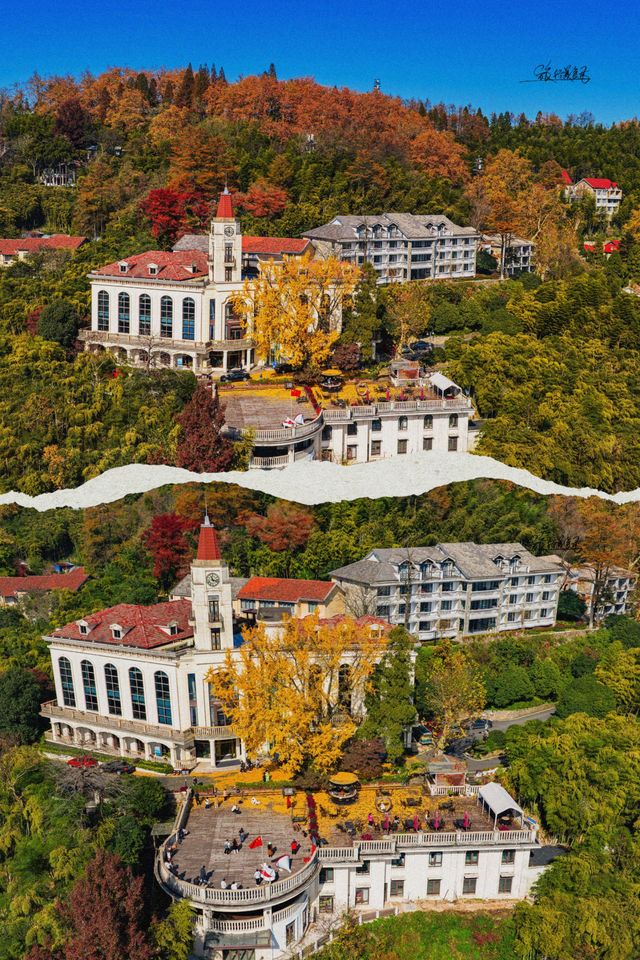 莫干山賞楓 | 五個絕美機位，開啟秋日浪漫之旅