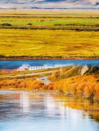 大興安嶺森林探秘